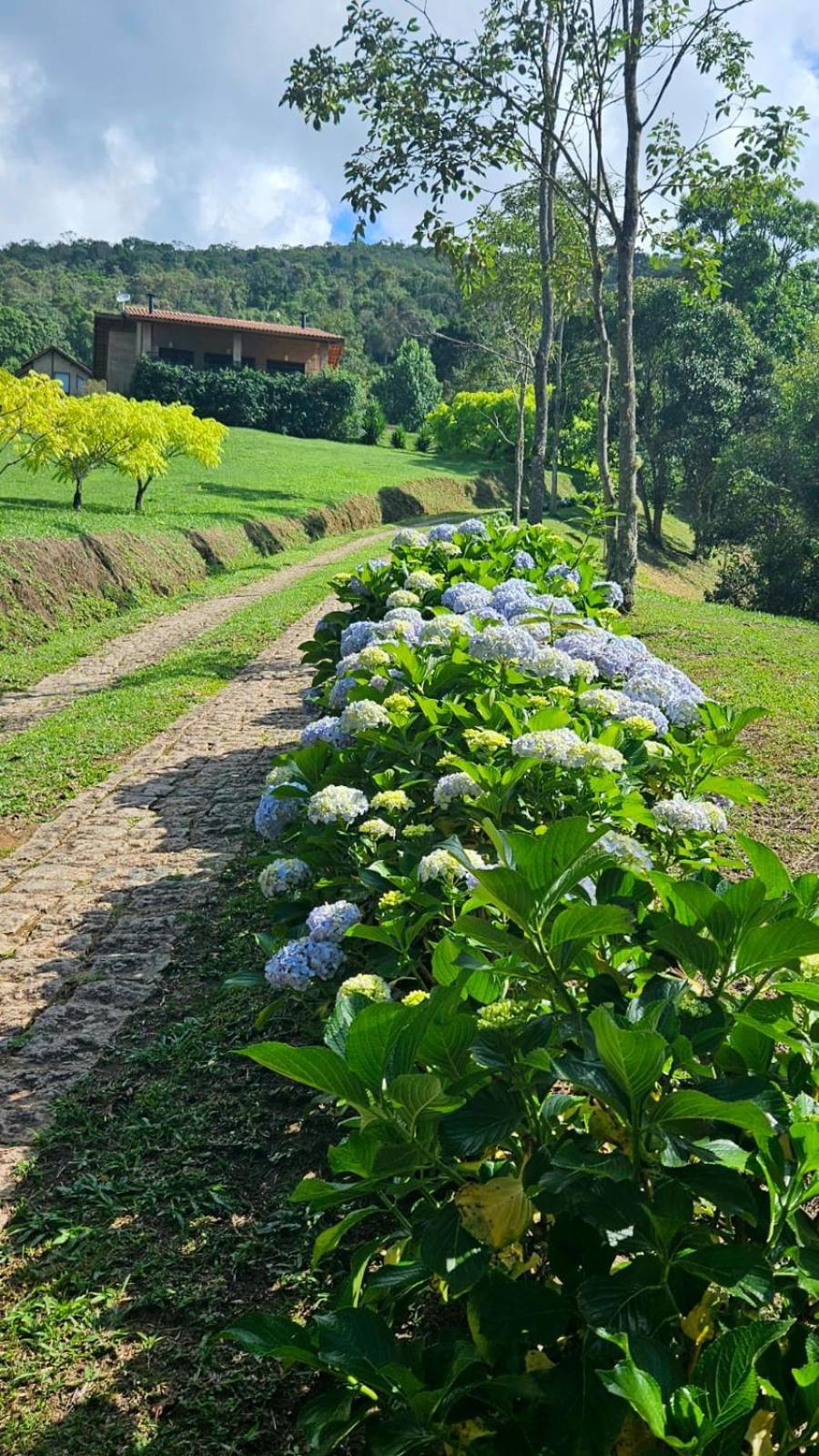 Gonçalves Chales Boa Vista 빌라 외부 사진