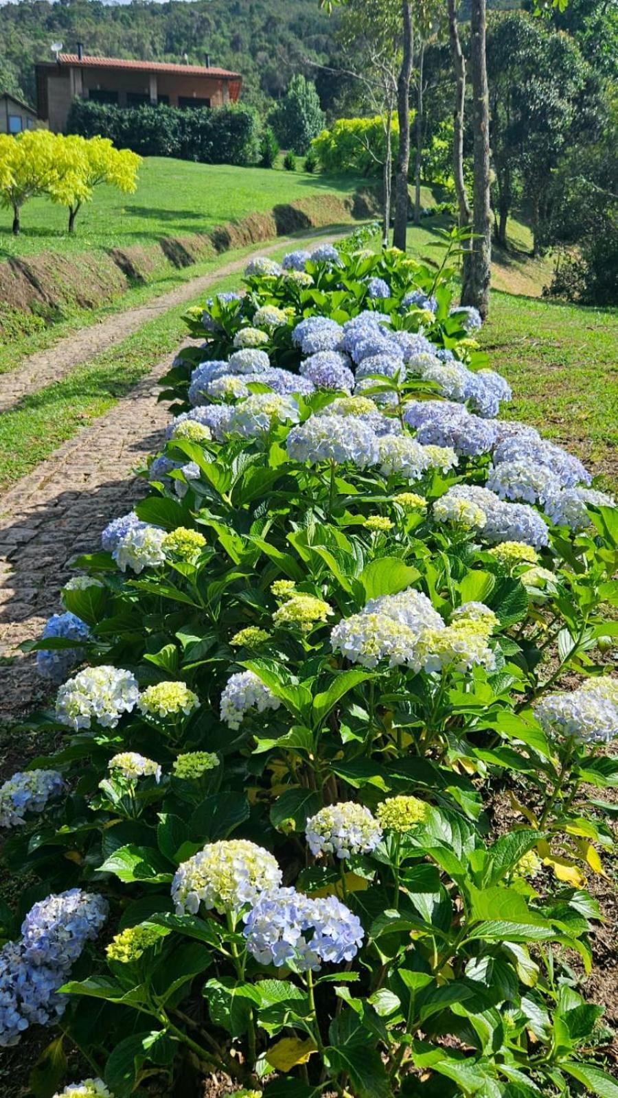 Gonçalves Chales Boa Vista 빌라 외부 사진